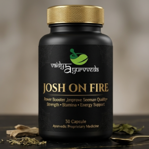 Vaidy Josh On Fire Capsule
